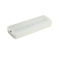 Ampoule de secours à DEL personnalisée avec alimentation de secours CE éclairage de secours mural rechargeable