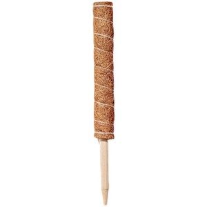 Varilla de soporte para plantas de fibra de coco Autonomy para plantas trepadoras de interior de 12 pulgadas - Product Image 1