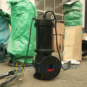 Bomba Sumergible de Aguas Residuales de Alto Flujo, Operación Estable, Personalizada/OEM, Motor de CA Trifásico de Baja Presión para Transferencia de Aguas Residuales - Product Image 4