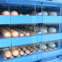 Couveuse d'œufs de poule à couver 1 couche 64 capacités