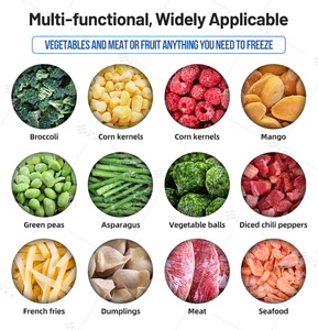 Túnel de Congelación IQF con Certificación CE para el Procesamiento de Bayas Congeladas, Guisantes Verdes, Maíz Dulce y Zanahorias Bebé - Product Image 3