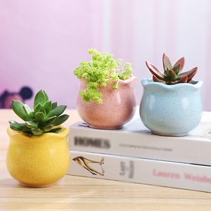 Nhà Máy Bán Buôn Mọng Nước Gốm Mini Chậu Hoa Dễ Thương Cây Xương Rồng Trong Nhà Máy Tính Để Bàn Ban Công Trồng Nhà Sáng Tạo Chậu Hoa - Product Image 2