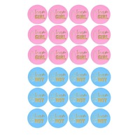 Décorations de fête de révélation du sexe, bannière garçon ou fille, ballons, accessoires de photomaton pour baby shower, toile de fond, guirlandes, kit de fournitures