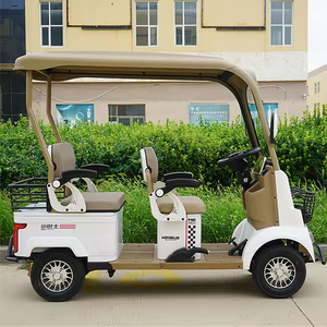 Minibús A5 de Cuatro Ruedas con Toldo, Cuatro Asientos, para Personas Mayores y Discapacitadas, Scooter Eléctrico Familiar con Motor de 650w - Product Image 5