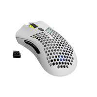 Souris de jeu légère, rechargeable par cellule, sans fil, avec rétroéclairage RVB, avec récepteur USB, adaptée aux ordinateurs portables