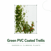 Clôture en treillis galvanisé à mailles losangées de 6 pi / 8 pi pour ferme, jardin et enclos à gibier