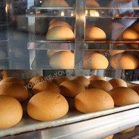Four à convection rotatif chinois commercial pour la pâtisserie, 5 ou 10 plateaux