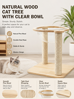Arbre à chat en bois de pin naturel, écologique et durable, avec lit capsule transparente, structure d'escalade en bois massif et poteau en sisal pour grands chats