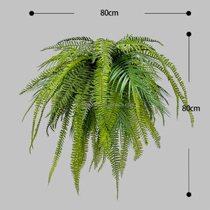 Gran oferta <span class=keywords><strong>de</strong></span> plástico verde plantas tropicales Boston helecho espada helecho cesta colgante para decoración <span class=keywords><strong>de</strong></span> boda - Product Image 1