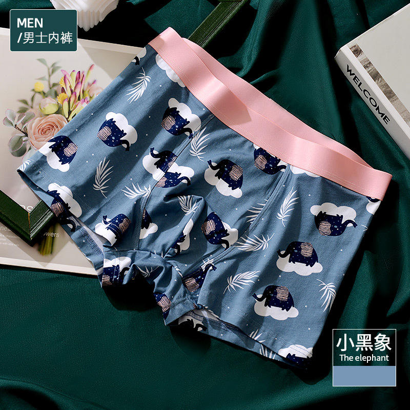 Little black elephant-male