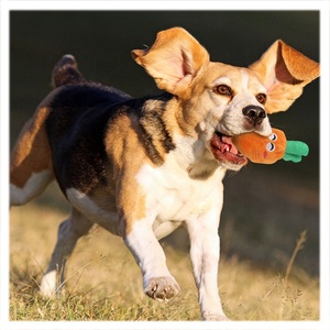 Juguete de Peluche con Sonido de Frutas y Verduras, Juguete Interactivo para Mascotas, Perros y Gatos, Juguetes Molares - Product Image 2