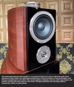 Haut-parleur de luxe pour villa Kyyslb de 12 pouces, amplificateur, haut-parleur haute fidélité, enceintes 2.1 - Product Image 3