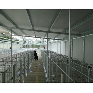 Gabbia per Gestazione Suini a Basso Costo, Stalla per Maiali da Allevamento - Product Image 1