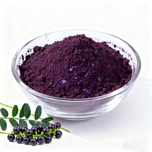 Экстракт ягод асаи, сублимированный витамин С, фруктовый сок, порошок, пищевая пища, бренд Longsheng, вакуумная упаковка - Product Image 1