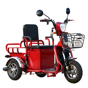รถสามล้อไฟฟ้า3<span class=keywords><strong>ล้อ</strong></span>สำหรับผู้โดยสาร600W มีหลังคารับการรับรอง CE - Product Image 6