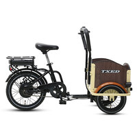 Tricycle électrique pour enfants TXED Factory Direct 24V/180W avec batterie au lithium, 3 roues, pour le transport de marchandises et les loisirs