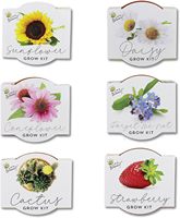 Kit Penyemaian Benih Mini Pot Terakota Klasik 6-Pak untuk Berkebun Dalam Ruangan, Kit Pembenihan untuk Herbal dan Bunga, Tanam Sendiri