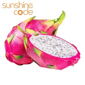 Código Sunshine fruta de dragão branca orgânica fresca à venda fruta de dragão na Malásia fruta de dragão saborosa Suplar em primeiro lugar