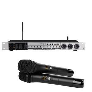 OEM-procesador de Audio Digital REV3800, prereceptor KTV con dos micrófonos, para fiesta en casa, boda y <span class=keywords><strong>Karaoke</strong></span>, gran oferta - Product Image 1