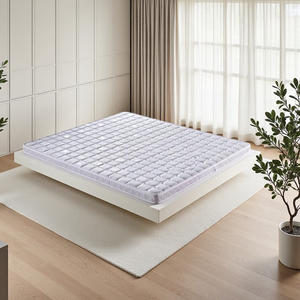 Vente directe d'usine Matelas en fibre de palmier de coco de taille standard Matériel de protection de l'environnement Meubles de chambre à coucher <span class=keywords><strong>avec</strong></span> coque - Product Image 1