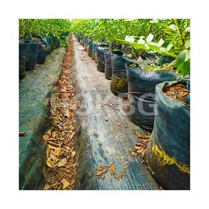 HOKBG 20 Galones Ecológico PP Negro 45 5 galones Maceta Tela Tejida Fieltro Crecimiento Maceta Bolsas Planta Granja Jardín bolsa de cultivo - Product Image 1