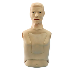 Maniquí <span class=keywords><strong>de</strong></span> PVC Avanzado para Simulación <span class=keywords><strong>de</strong></span> Entrenamiento <span class=keywords><strong>de</strong></span> Cuidado <span class=keywords><strong>de</strong></span> Sondas Nasogástricas y Traqueales para Educación en Escuelas, con Certificación CE/ISO - Product Image 3