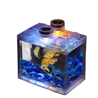 Aquarium en verre durable, mini, petit, exquis, écologique, pour la décoration de bureau et de salon