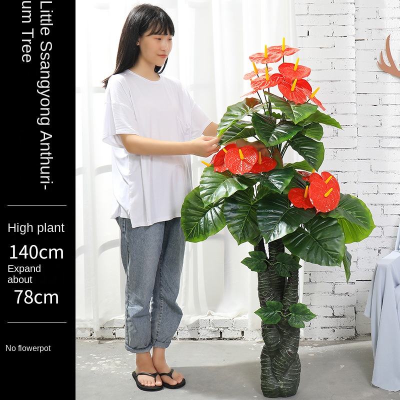 ต้นปาล์มแดงเล็กคู่มังกรสีเขียว ขนาด 1.4 เมตร (ไม่มีกระถาง)