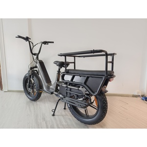 Zerco 2025 C1 potente 250w a lungo raggio 20 pollici grasso pneumatico <span class=keywords><strong>Cargo</strong></span> elettrico bici bicicletta Ebike per la consegna delle merci con seggiolini per bambini - Product Image 4