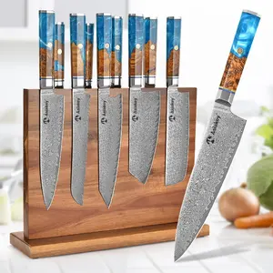 Professional VG10 Super Steel 67 Layer Damascus Steel Shell Resin Handle Kitchen Knife Set with Magnetic Knife Holder
