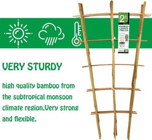 Treillis en bambou naturel pour plantes grimpantes - Support miniature de 60 cm pour plantes en <span class=keywords><strong>pot</strong></span>, vigne, lierre et fleurs - Product Image 6