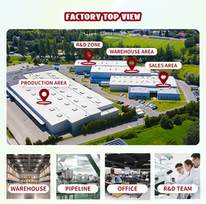 Củ nghệ Curcumin viên nang thảo dược bổ sung cho hỗ trợ chống oxy hóa cho nam giới và phụ nữ - Product Image 4