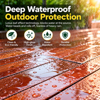 Vernis transparent à base d'eau pour murs, revêtement protecteur imperméable pour murs intérieurs et extérieurs et peinture artistique