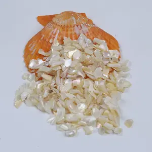 AAA grade Schiacciato madre di perla shell perle irregolari