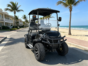 Carrito de Golf Compacto de 2 Plazas, Buggy Eléctrico de Fácil Control para Viajes por Playa y Resort, para Uso en Carreteras No Públicas - Product Image 5