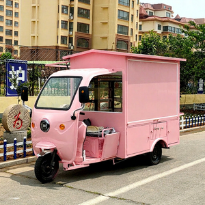 Triciclo Eléctrico para Venta de Alimentos, 48V, Carrocería Cerrada, para Uso en Venta Ambulante, con Capacidad de Carga de 200-300 kg - Product Image 1