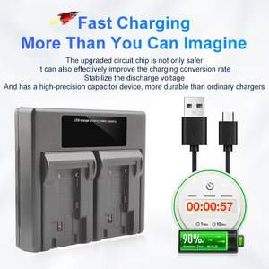 Batería de Polímero de Litio de Alta Calidad DMW-BLG10 RingTeam de 7.2V para Teléfono Móvil, Cargador USB Portátil Rápido DMW-BLG10BLG10PP - Product Image 3