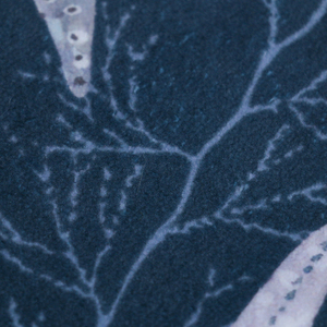 Bleu marine Marine Life tapis <span class=keywords><strong>de</strong></span> <span class=keywords><strong>bain</strong></span> étoile <span class=keywords><strong>de</strong></span> mer <span class=keywords><strong>coquille</strong></span> impression doux absorbant antidérapant océan thème tapis salle <span class=keywords><strong>de</strong></span> <span class=keywords><strong>bain</strong></span> décor éponge imprimé tapis - Product Image 3