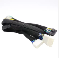 Harness Radio Mobil Kustom Profesional Kabel Audio Radio 20 Pin Perakitan Harness Kabel Otomotif Pabrik Sumber Harness Kabel