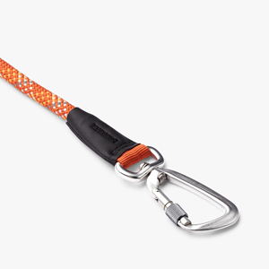 Fábrica nueva correa de nailon reflectante de noche suave de neopreno ajustable <span class=keywords><strong>Collar</strong></span> de perro sólido acolchado Durable moda de liberación rápida - Product Image 3