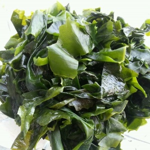 Prix très compétitifs Haute qualité Vente à chaud Séchage d'algues Wakame séchées pour soupes et salades - Product Image 2