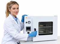 Horno de Secado al Vacío Horizontal de Laboratorio de Alta Temperatura con Pantalla LCD, Precio de Venta en China