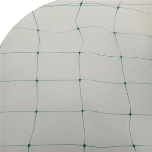 <span class=keywords><strong>Rete</strong></span> di Supporto per Piante in HDPE <span class=keywords><strong>Verde</strong></span> Resistente ed Economica - Product Image 6