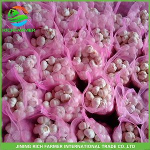 Ajo Fresco de Nueva Cosecha China, Suministro de Ajo Blanco Normal y Ajo Blanco Puro de Fabricante Mayorista de Ajo - Product Image 5