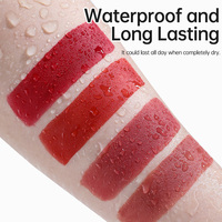 Rouge à lèvres liquide mat vegan en gros, personnalisable avec logo, longue tenue, sans étiquette