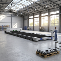 Machine de découpe laser fibre CNC haute vitesse 12KW 20KW 30KW, taille personnalisable pour métal, ODM OEM, grand format