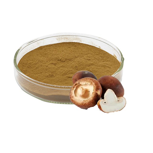 hot sale Organic Shiitake; Lentinus edodes,shiitake mushroom dried