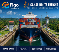 Agent maritime international professionnel pour l'expédition par voie maritime de la Chine vers le Canada, les États-Unis, service DDP mondial porte-à-porte, transitaire