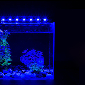 Lumière LED submersible <span class=keywords><strong>pour</strong></span> <span class=keywords><strong>aquarium</strong></span> 3,5W-10W, lumière LED sous-marine <span class=keywords><strong>pour</strong></span> paysage, <span class=keywords><strong>pour</strong></span> arowana, poissons rouges - Product Image 4