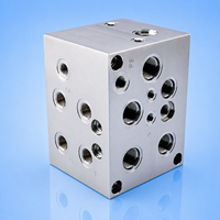 Bloc de collecteur hydraulique en acier sur mesure, usiné avec précision par CNC, bloc de soupapes multi-ports pour systèmes hydrauliques